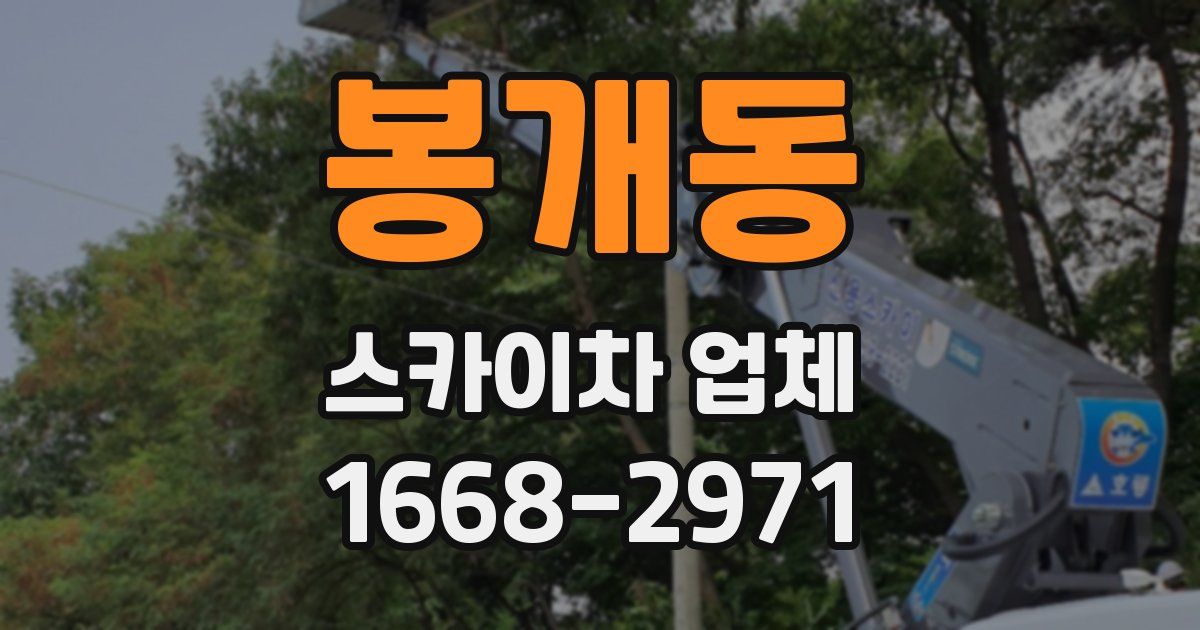 봉개동 스카이차 업체