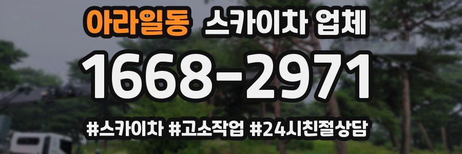 아라일동 스카이차 업체