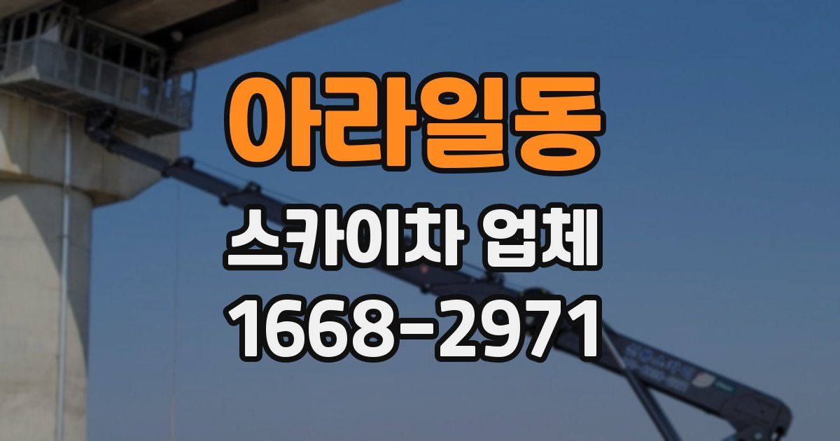 아라일동 스카이차 업체
