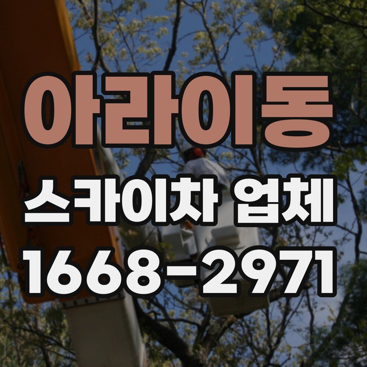 아라이동 스카이차 업체 선택 시 운전 숙련도 확인하기
