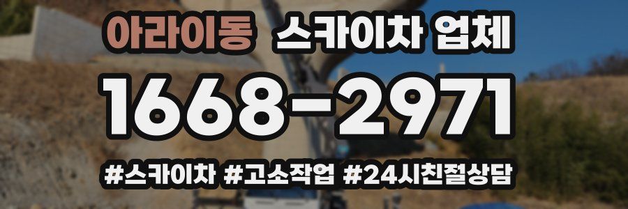아라이동 스카이차 업체