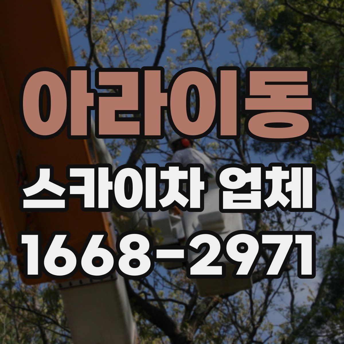 아라이동 스카이차 업체