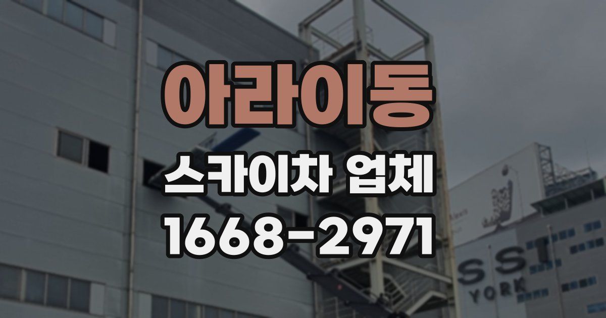 아라이동 스카이차 업체