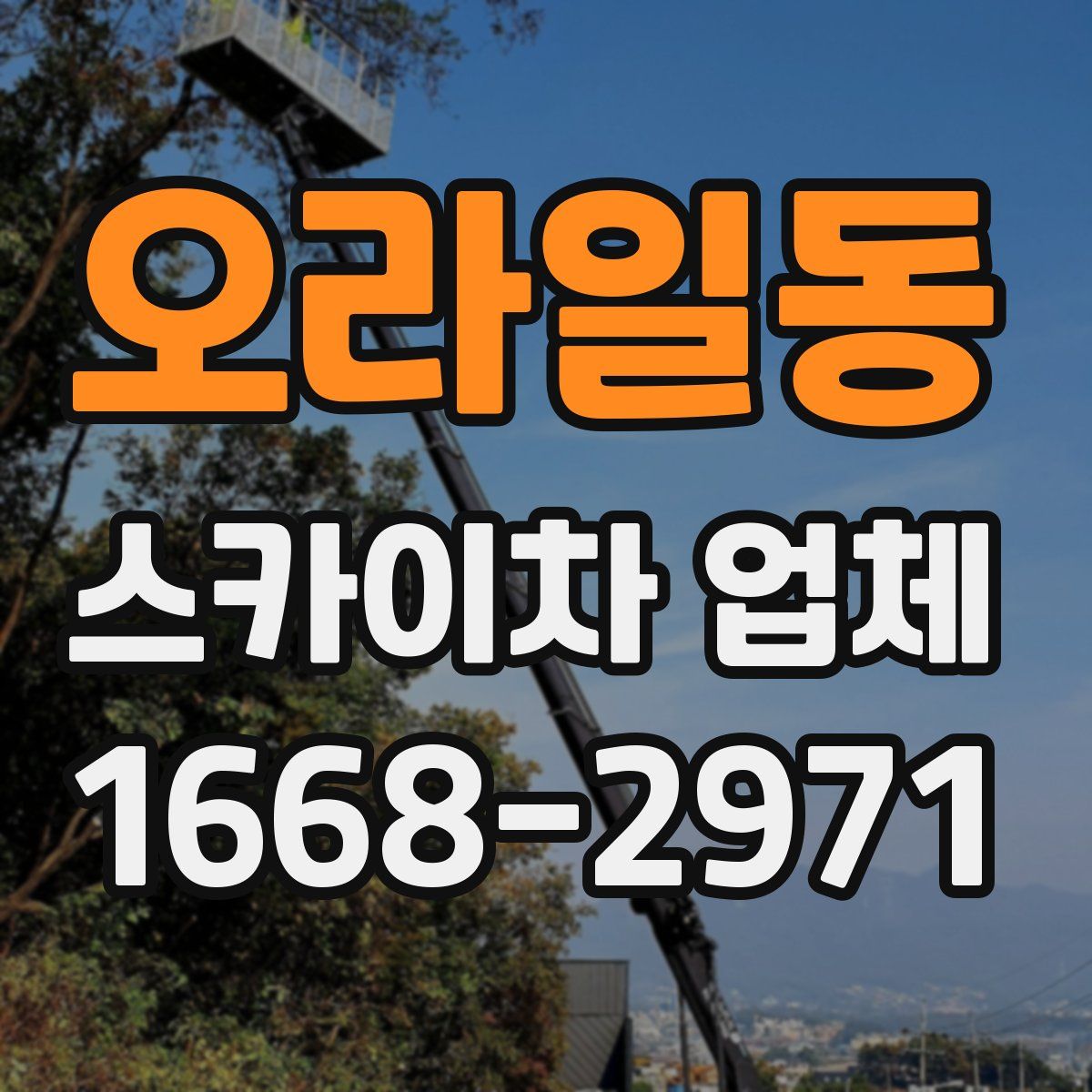 오라일동 스카이차 업체