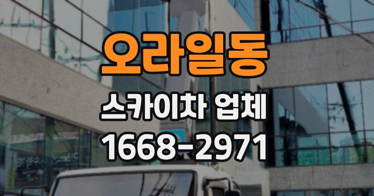 오라일동 스카이차 업체