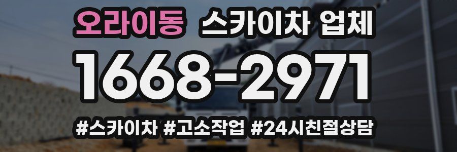 오라이동 스카이차 업체
