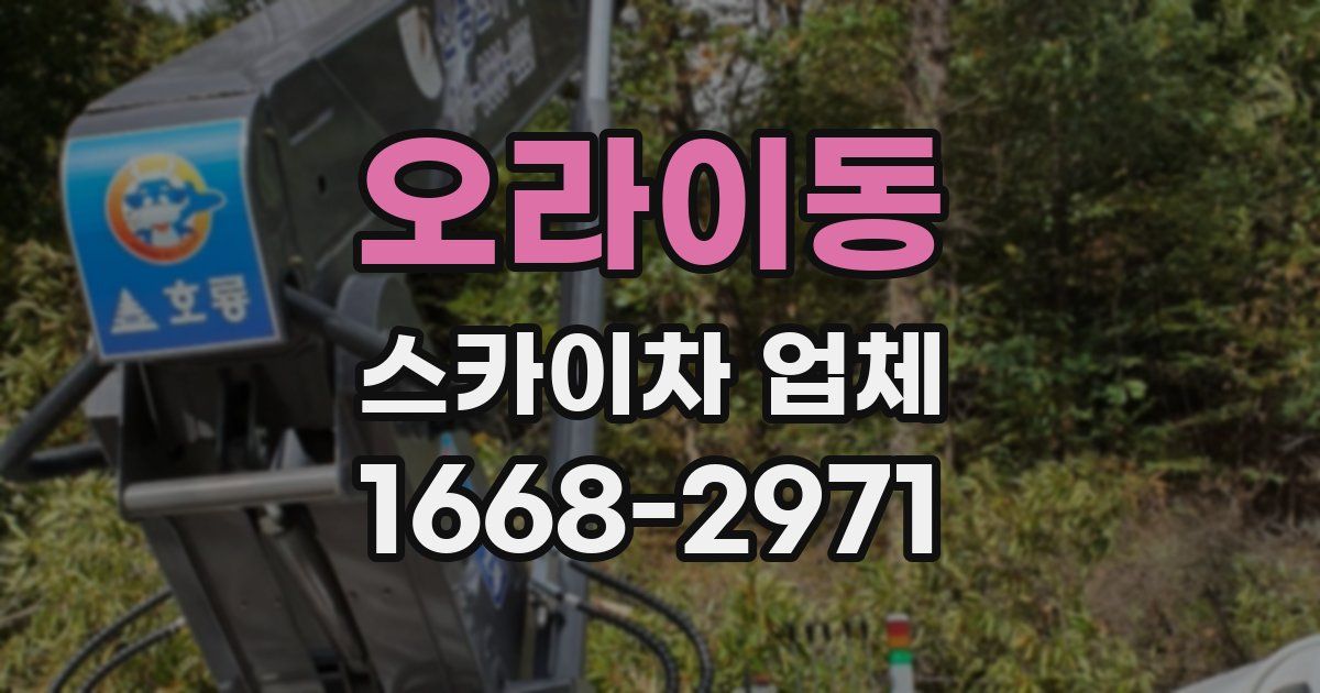 오라이동 스카이차 업체