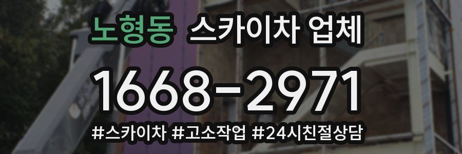 노형동 스카이차 업체
