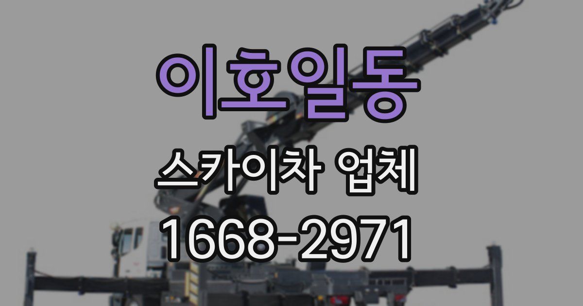 이호일동 스카이차 업체