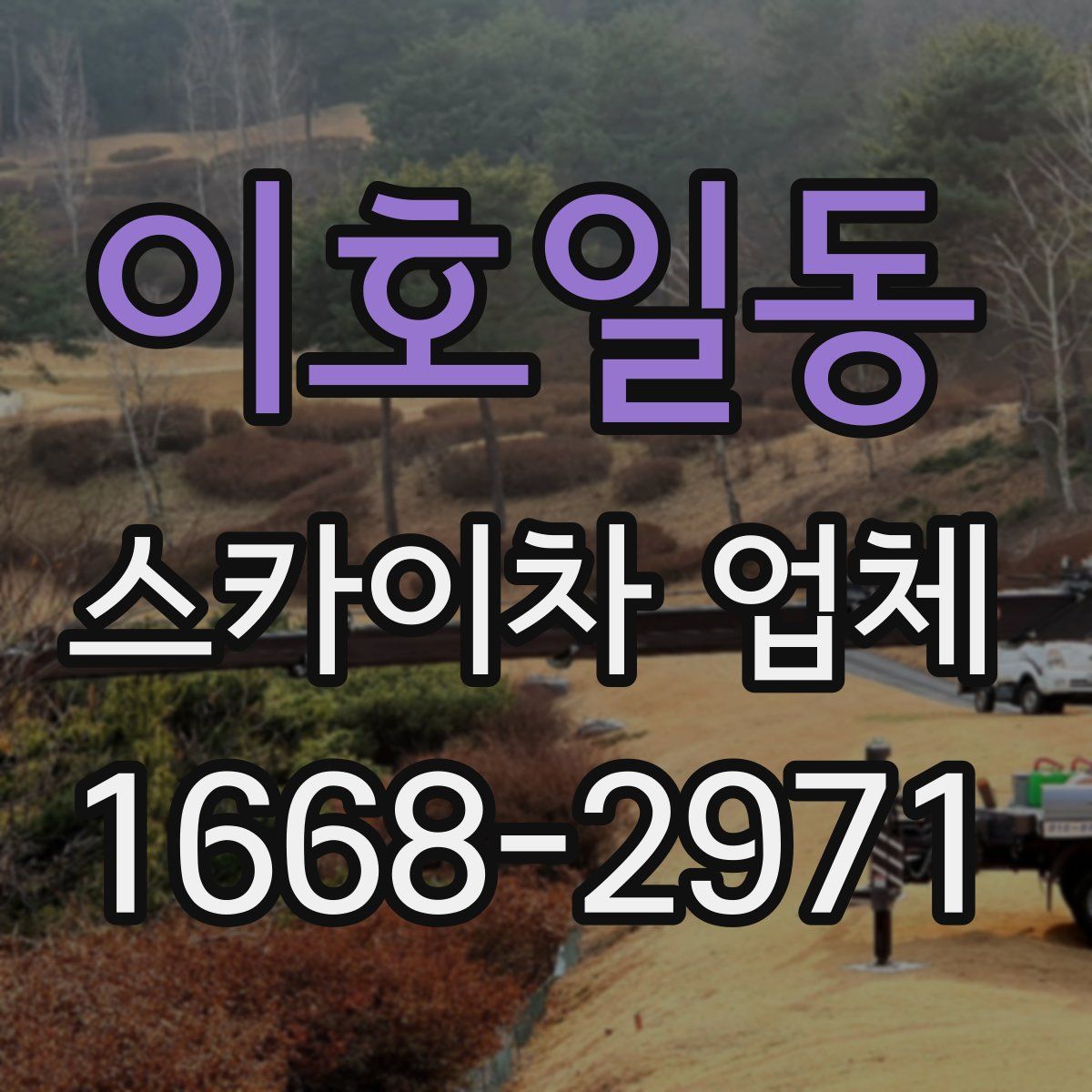 이호일동 스카이차 업체