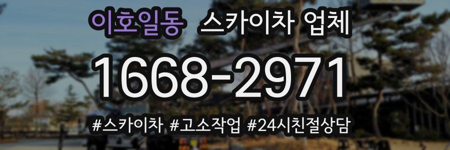 이호일동 스카이차 업체
