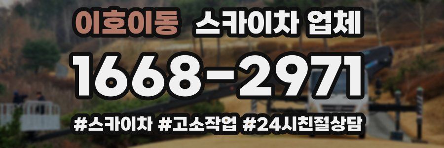 이호이동 스카이차 업체