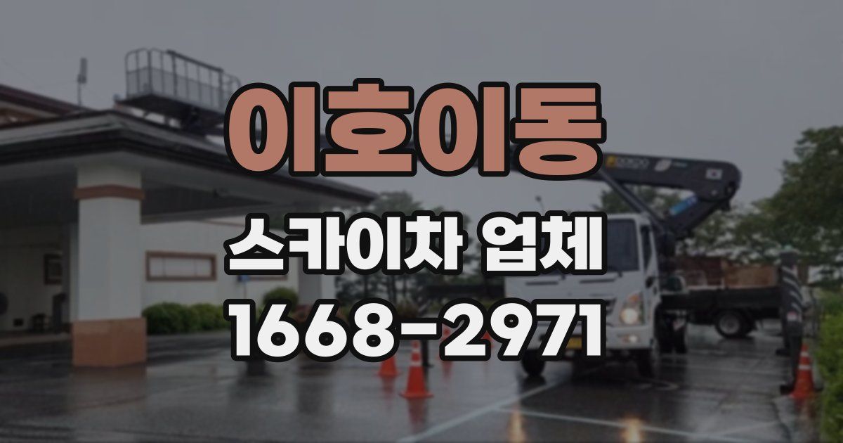 이호이동 스카이차 업체