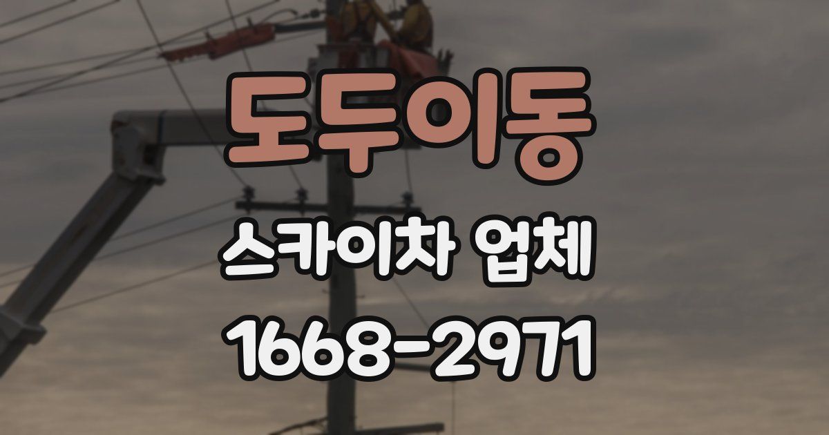 도두이동 스카이차 업체