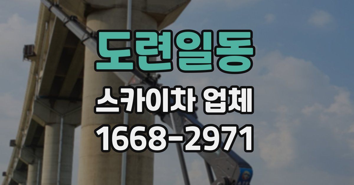 도련일동 스카이차 업체