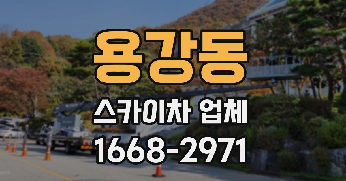 용강동 스카이차 업체
