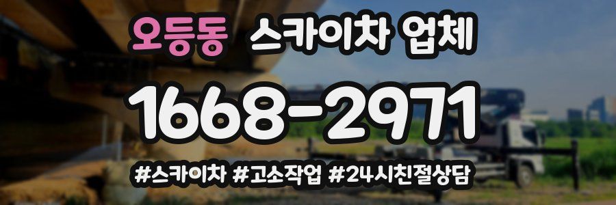 오등동 스카이차 업체