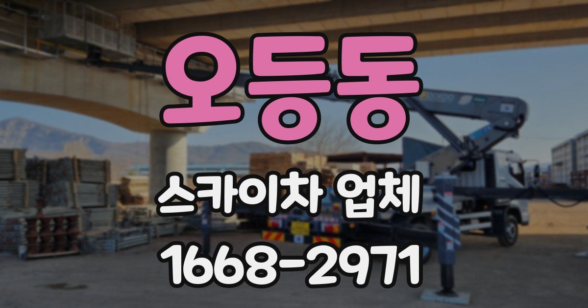 오등동 스카이차 업체