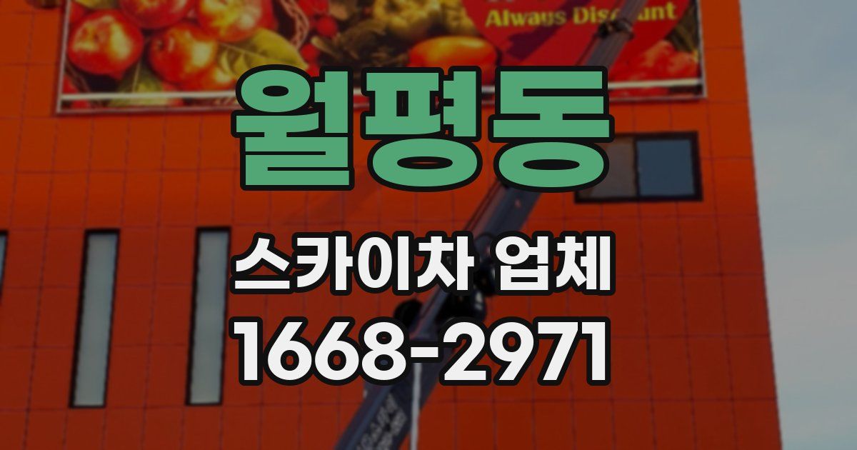 월평동 스카이차 업체
