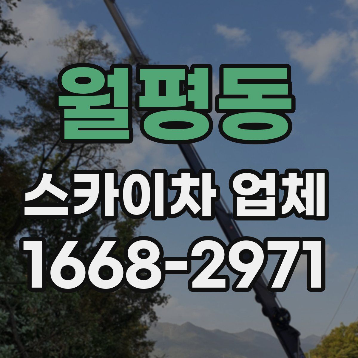 월평동 스카이차 업체