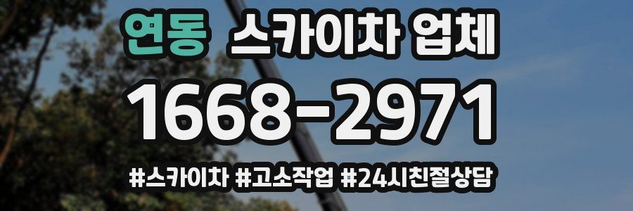 연동 스카이차 업체
