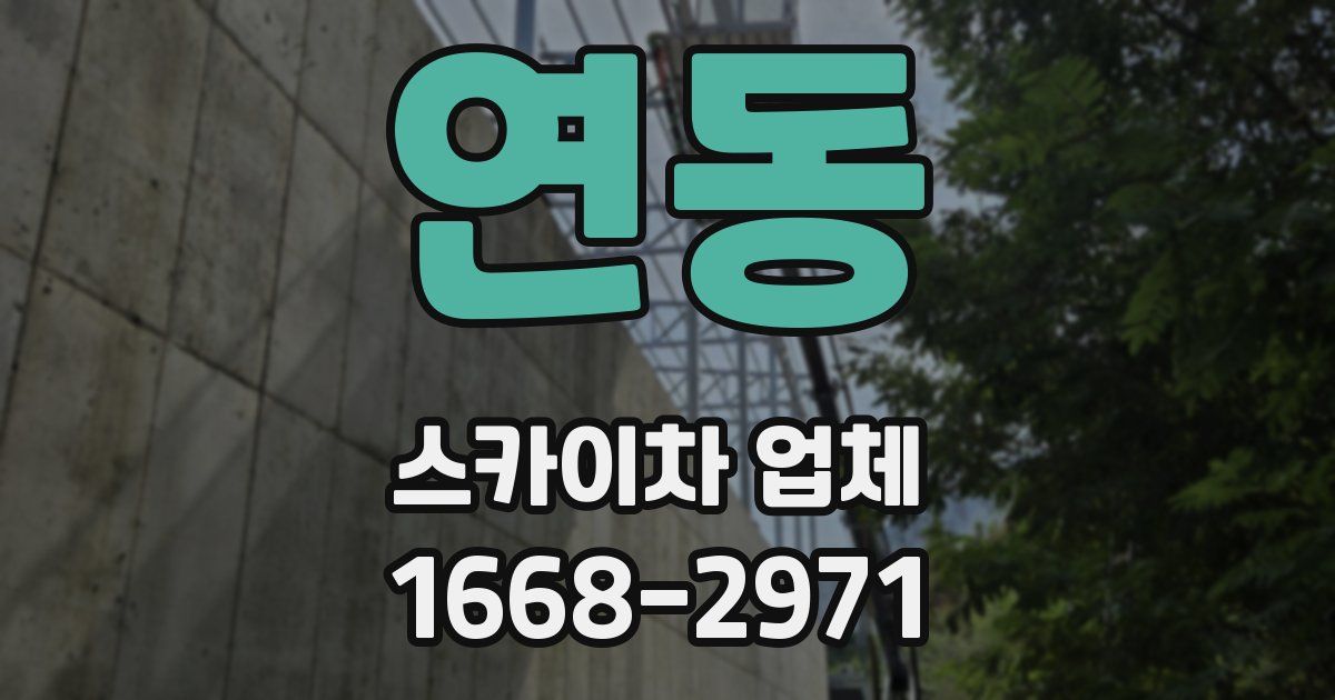 연동 스카이차 업체