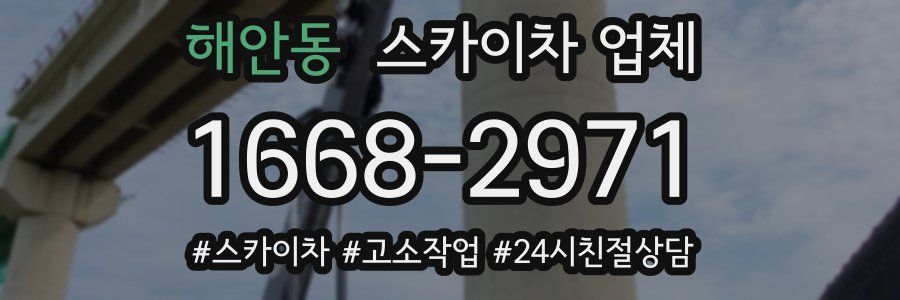 해안동 스카이차 업체
