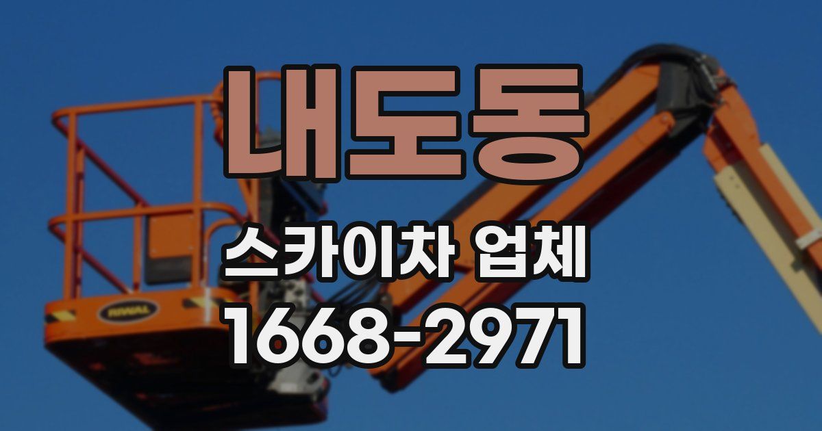 내도동 스카이차 업체