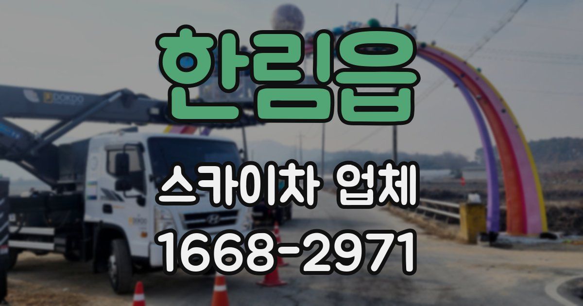 한림읍 스카이차 업체