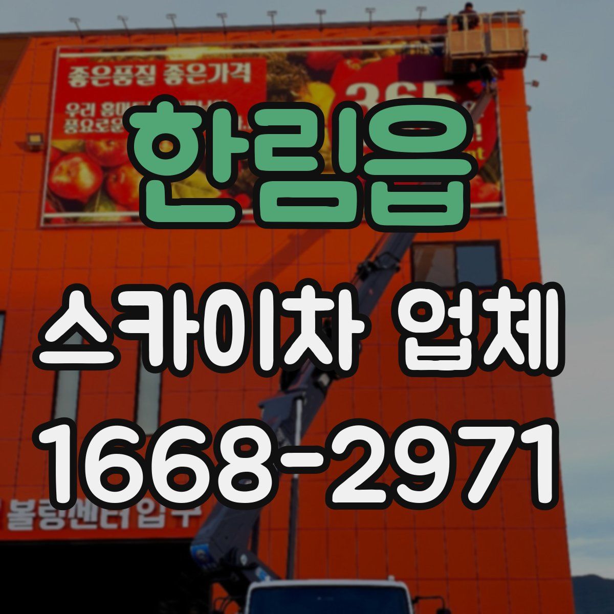 한림읍 스카이차 업체