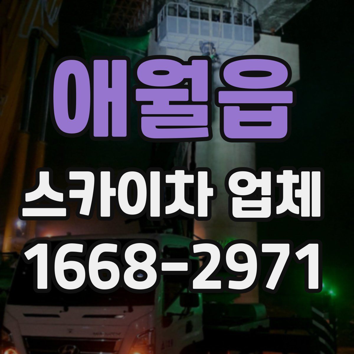 애월읍 스카이차 업체