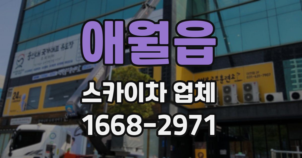 애월읍 스카이차 업체
