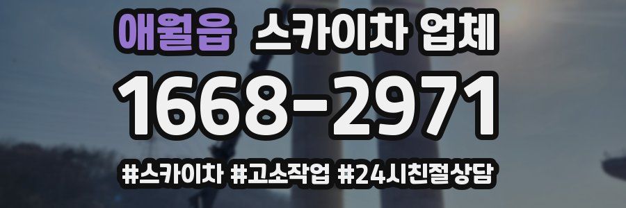 애월읍 스카이차 업체