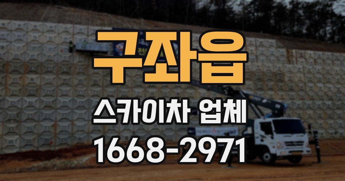 구좌읍 스카이차 업체