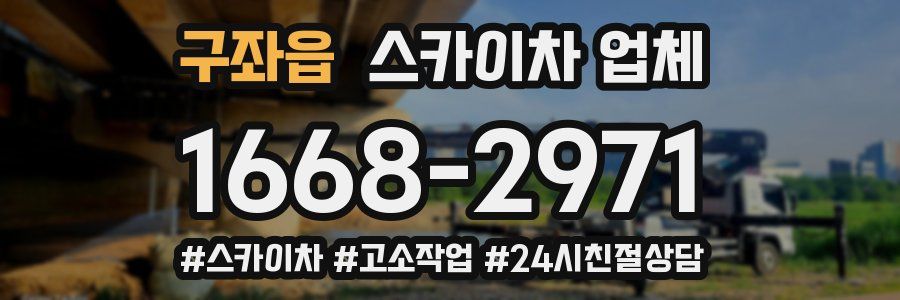 구좌읍 스카이차 업체