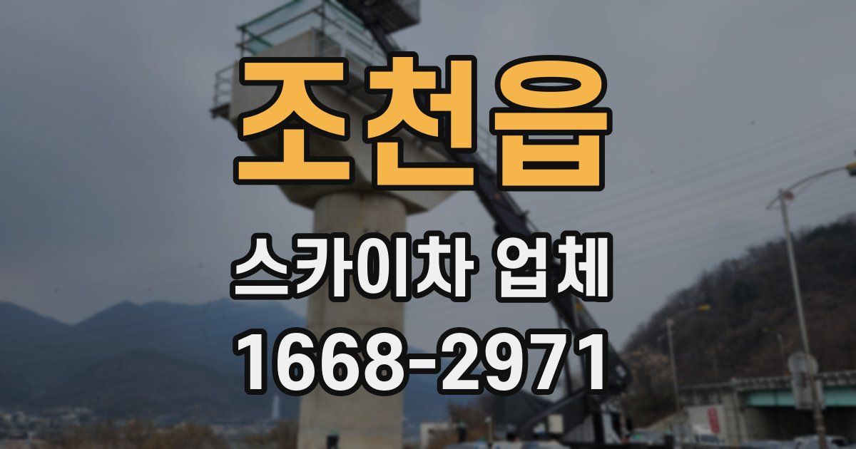 조천읍 스카이차 업체