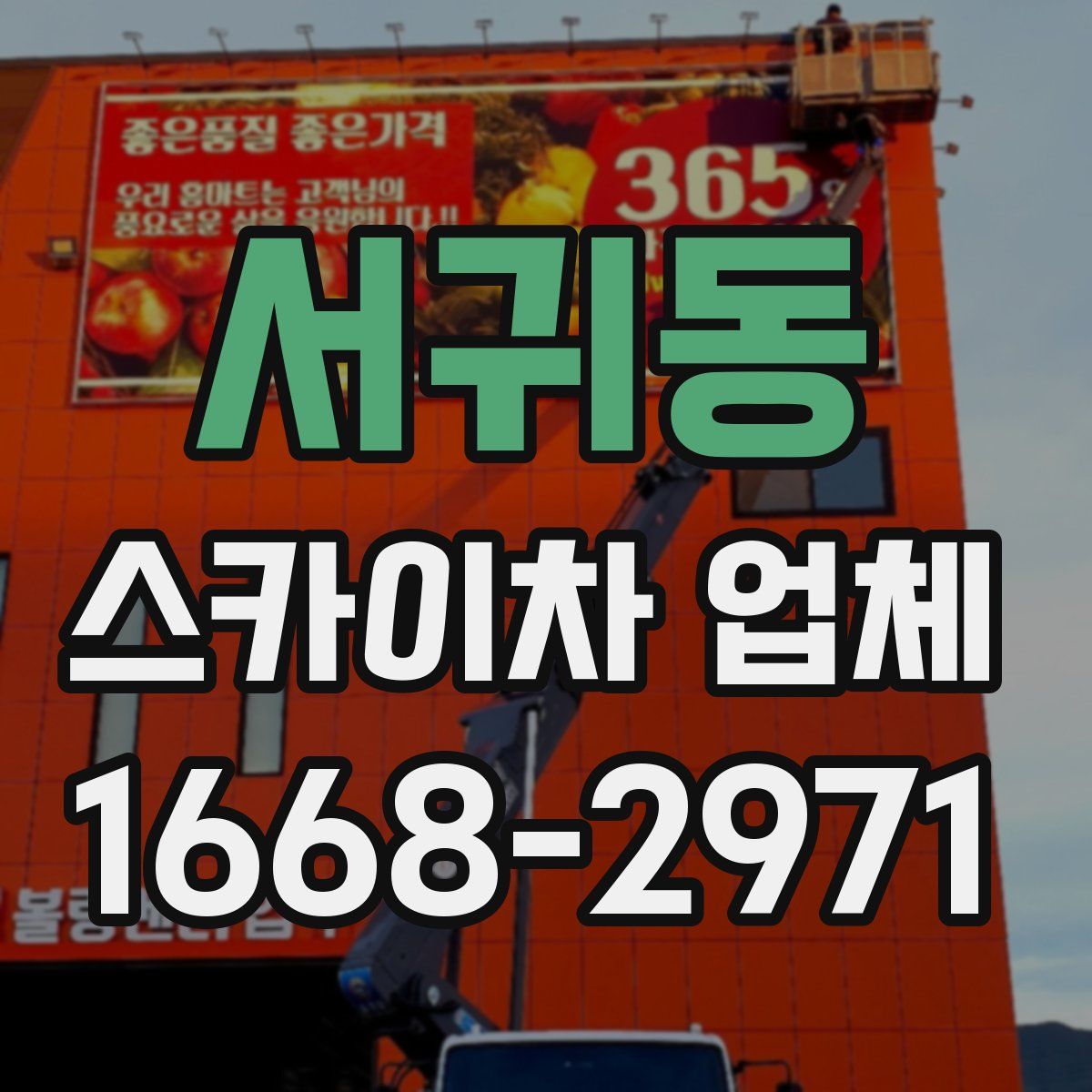 서귀동 스카이차 업체