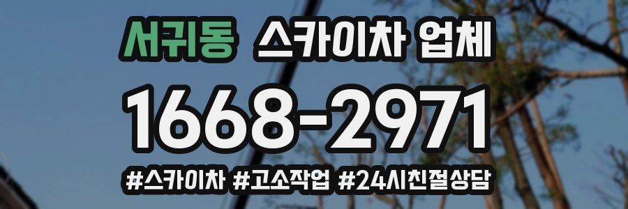서귀동 스카이차 업체
