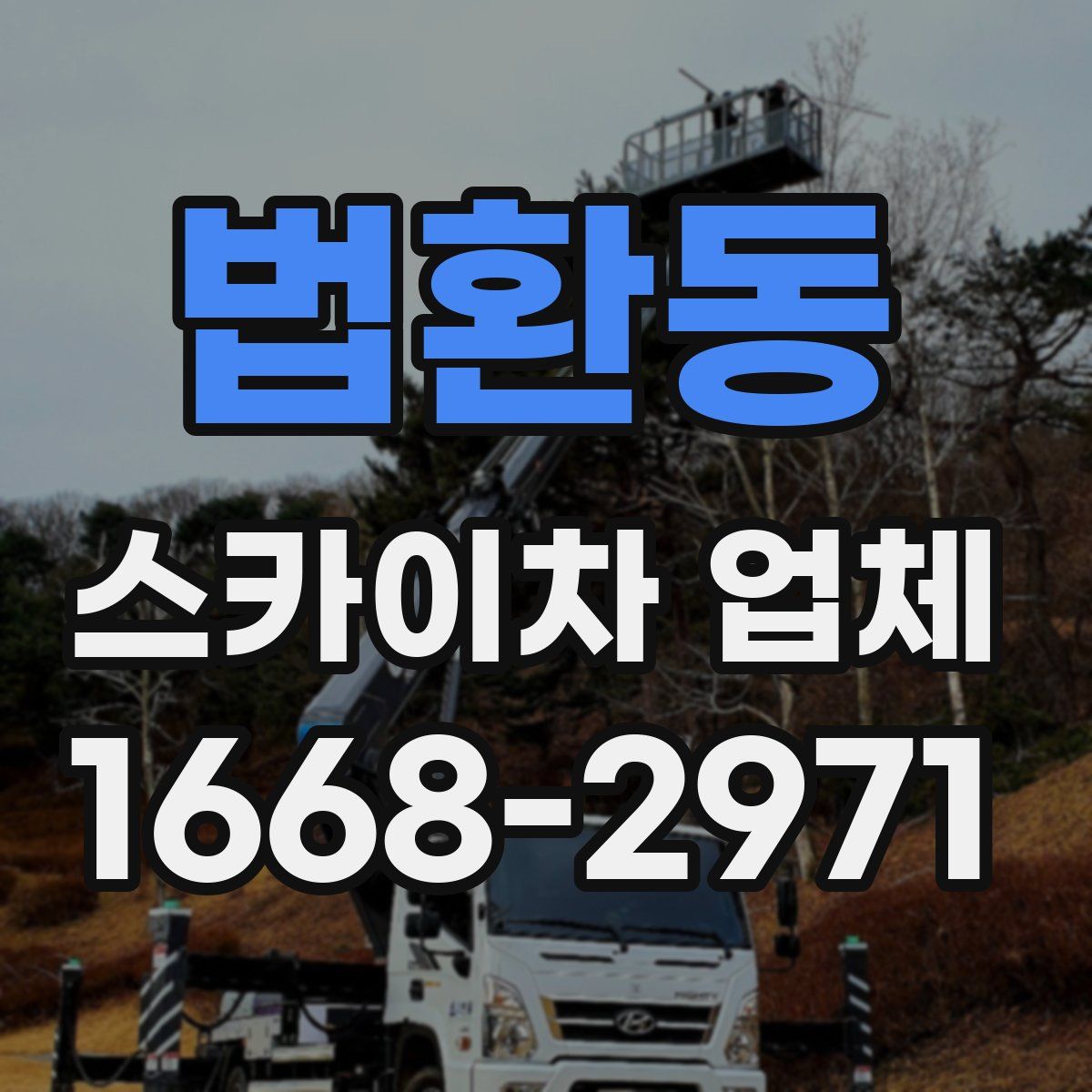 법환동 스카이차 업체