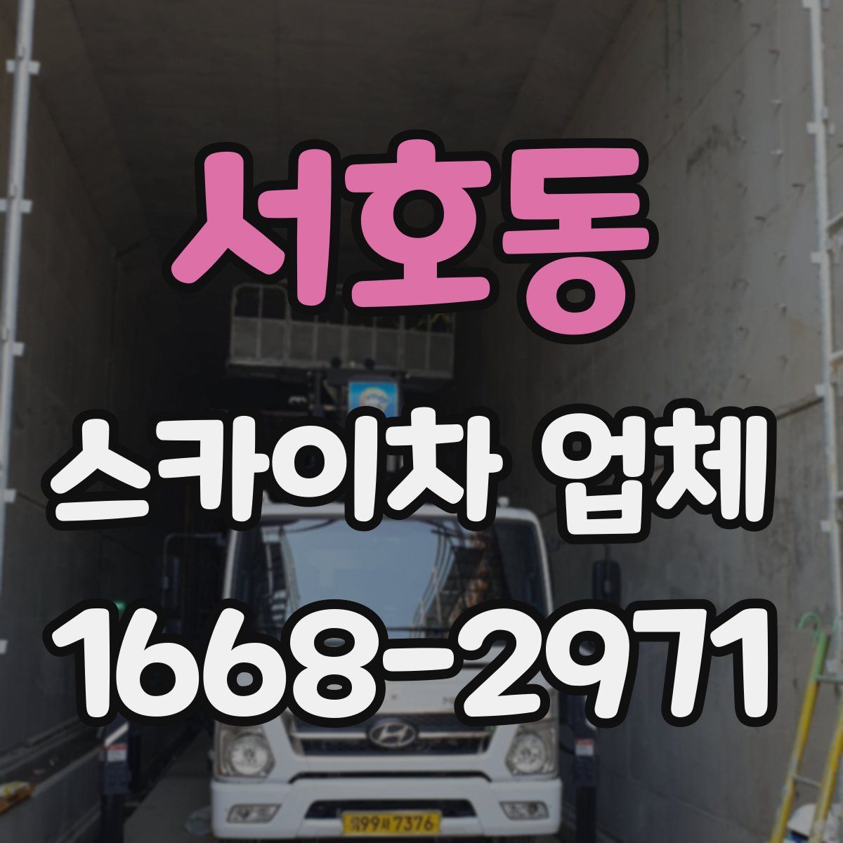 서호동 스카이차 업체