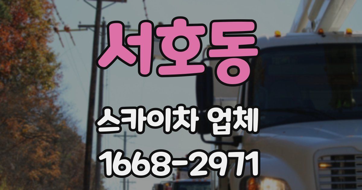서호동 스카이차 업체