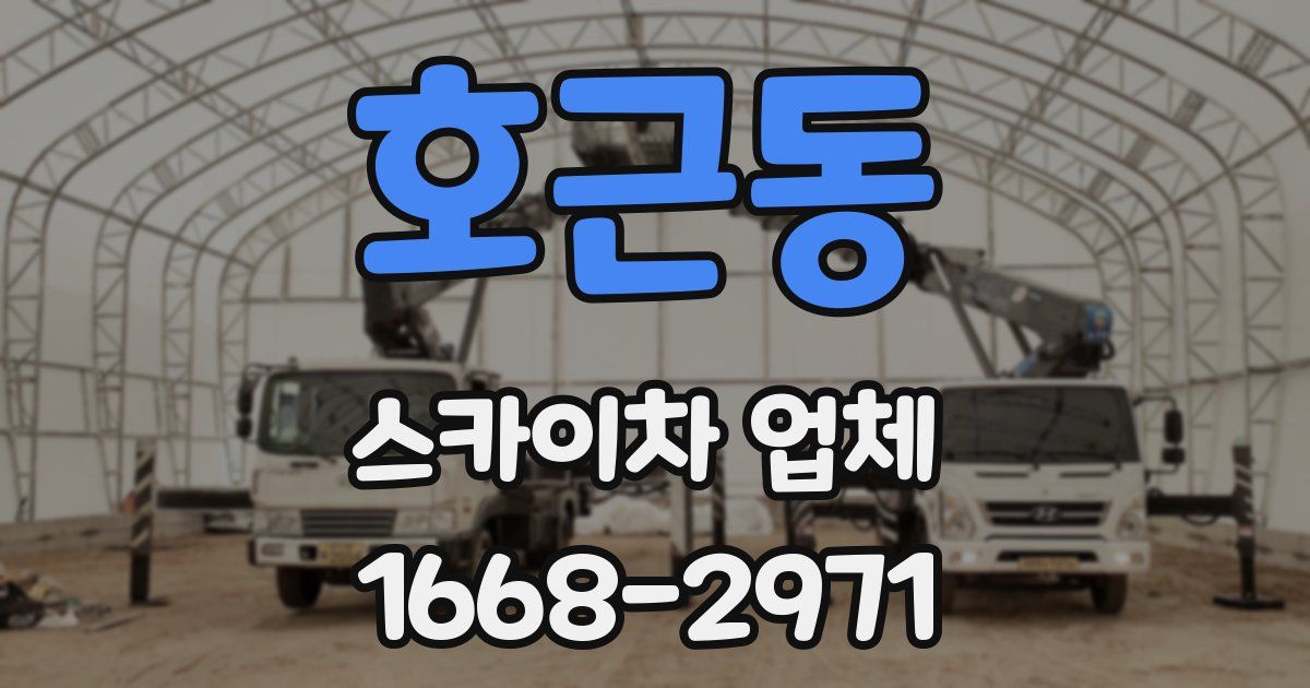 호근동 스카이차 업체