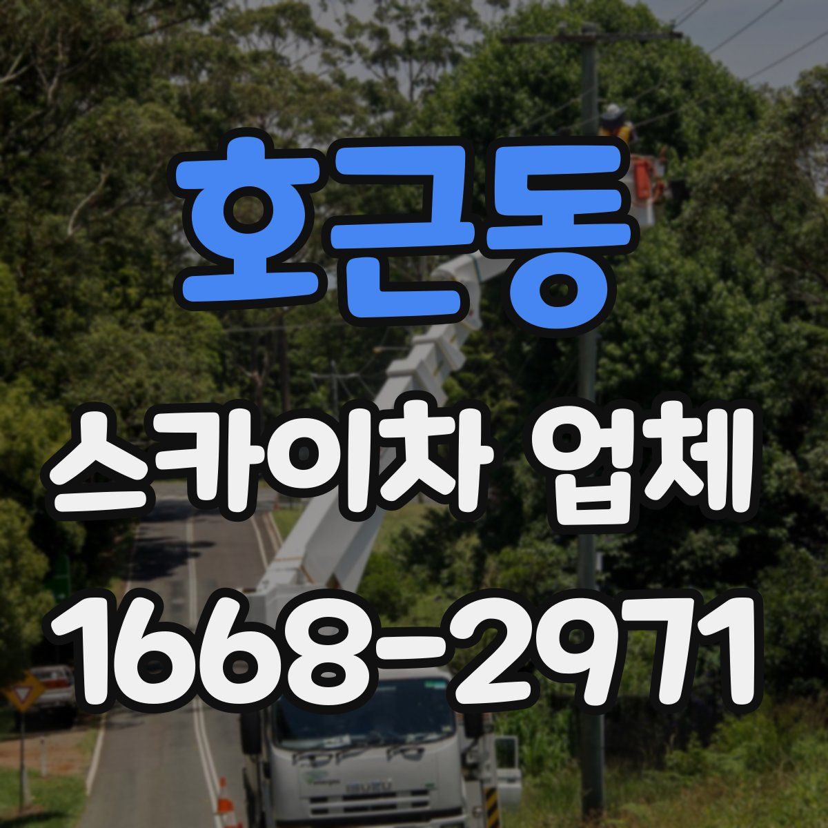 호근동 스카이차 업체