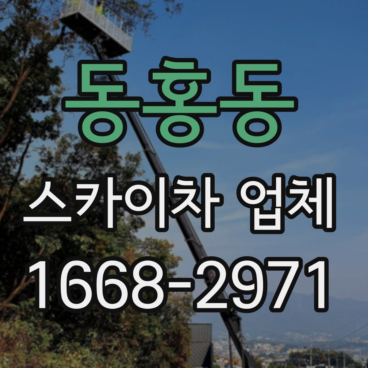 동홍동 스카이차 업체