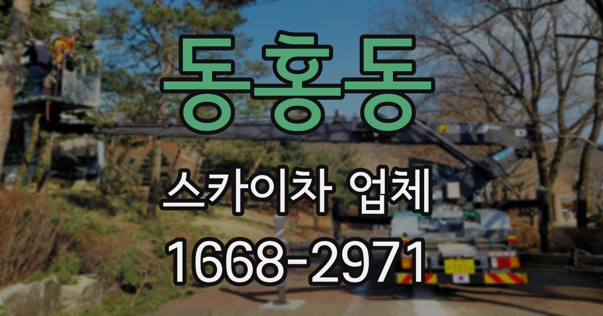 동홍동 스카이차 업체