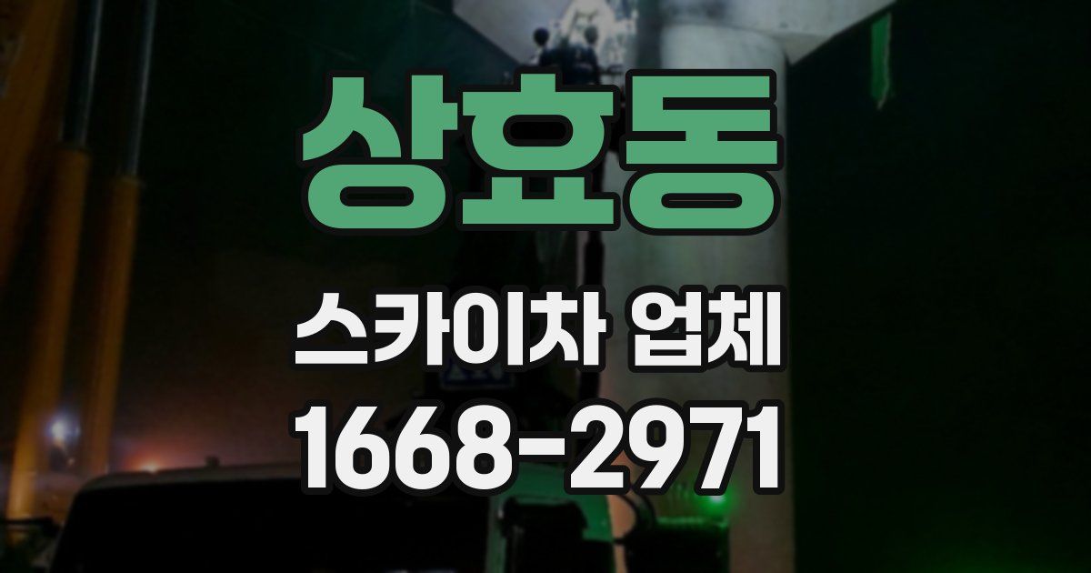 상효동 스카이차 업체
