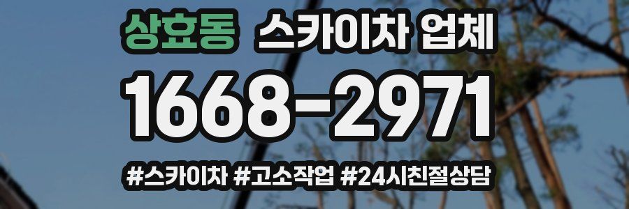 상효동 스카이차 업체