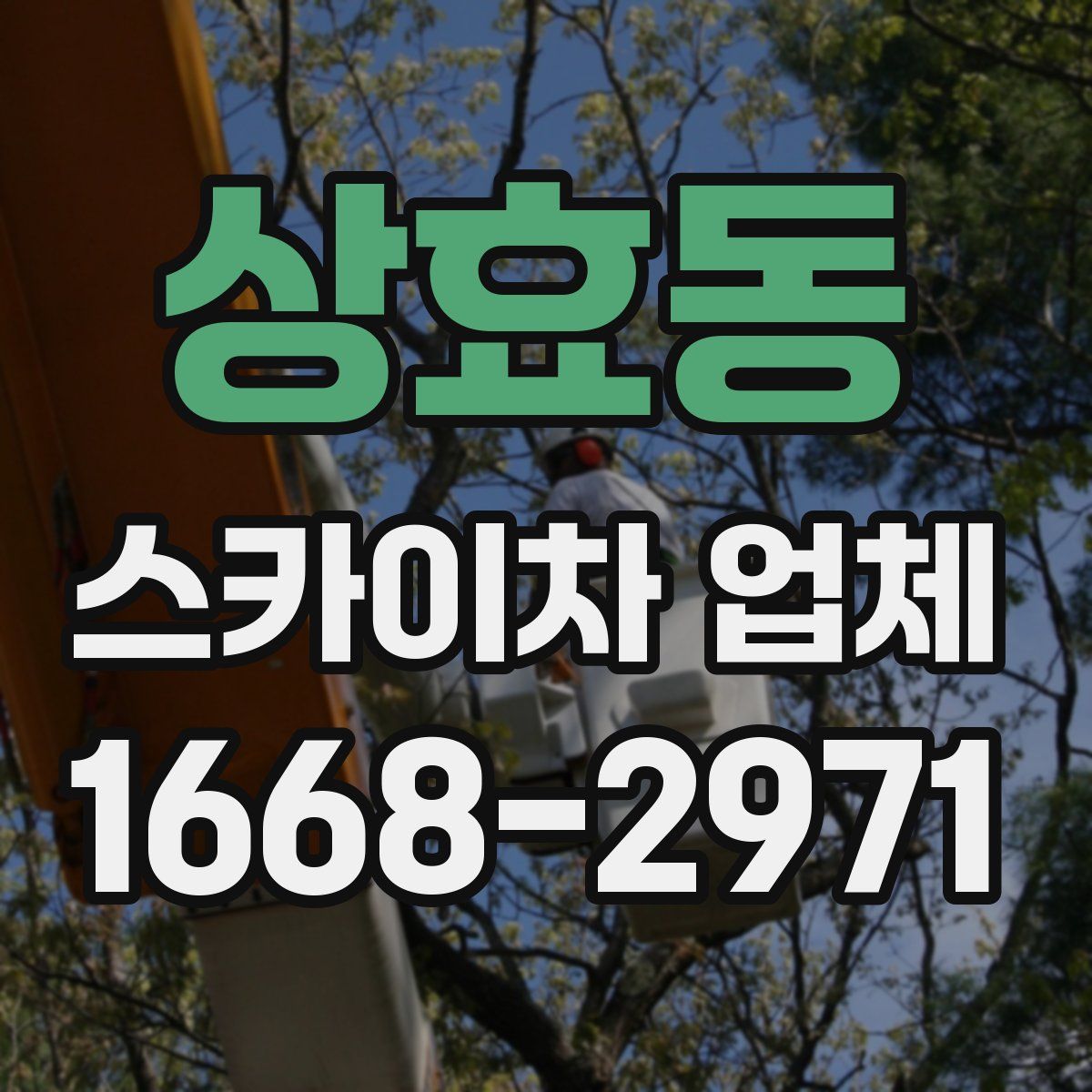 상효동 스카이차 업체