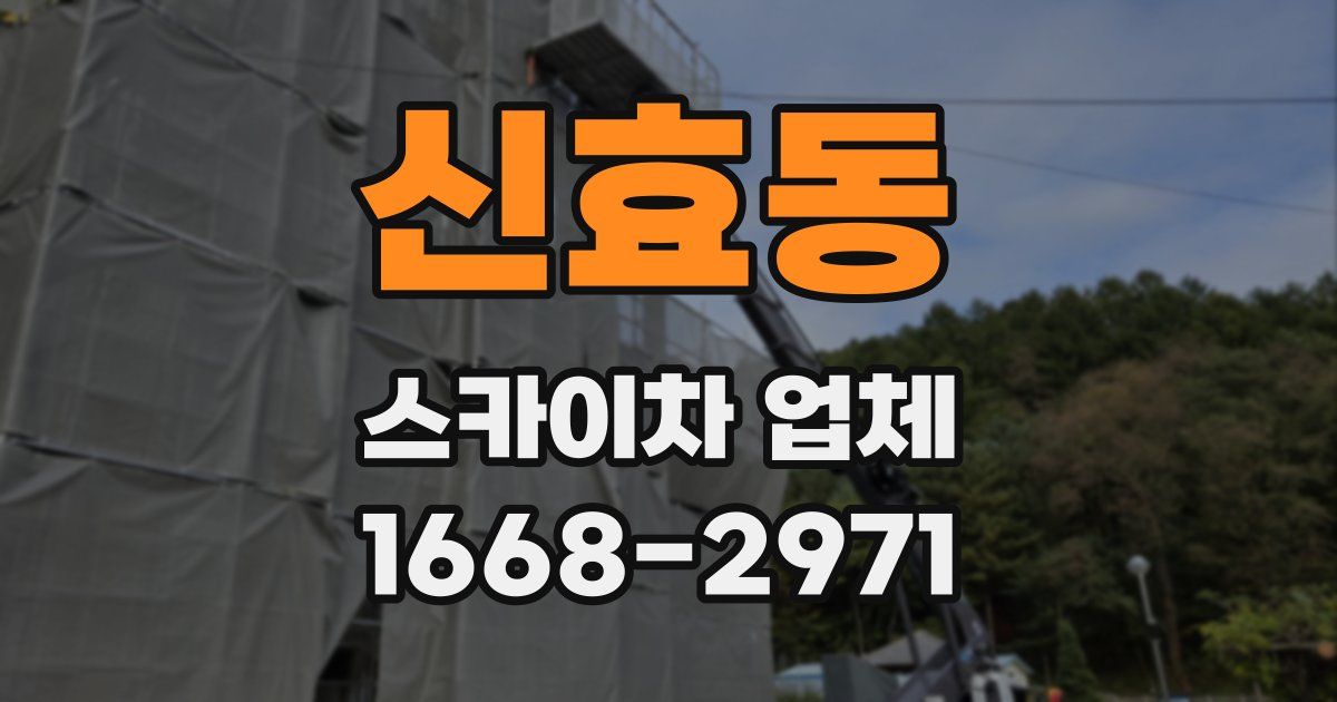 신효동 스카이차 업체