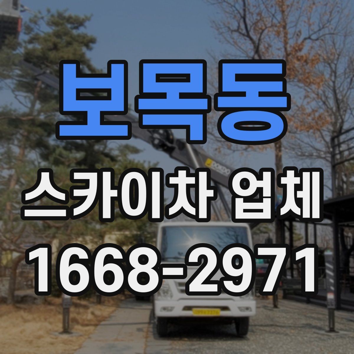 보목동 스카이차 업체 이용 후기에서 자주 보는 포인트